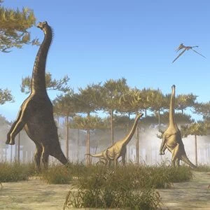 A Brachiosaurus herd grazing on treetops