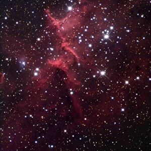 The bright star cluster known as Melotte 15