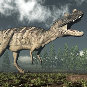 Ceratosaurus dinosaur roaring