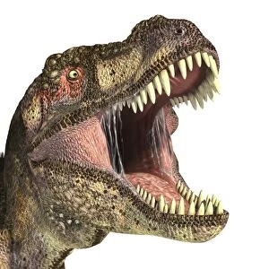 Close-up of Tyrannosaurus Rex dinosaur with mouth open
