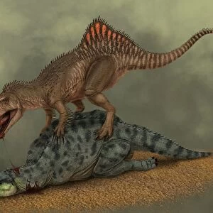 A Concavenator kills a young iguanodon dinosaur