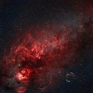 Constellation Cygnus with multiple nebulae visible