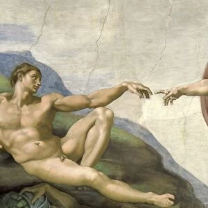 Michelangelo Buonarroti Collection: Frescoes