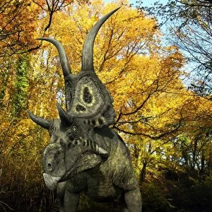 A Diabloceratops wanders a Cretaceous forest