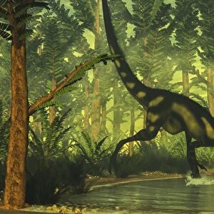 Dilong dinosaur running through a forest
