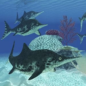 A group of large Ichthyosaurus marine reptiles swimming in prehistoric waters
