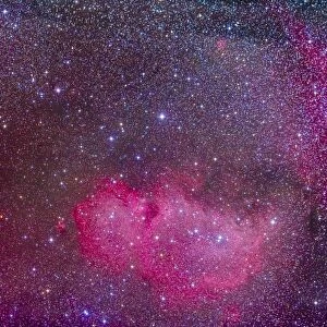 The Heart and Soul Nebulae in the constellation Cassiopeia
