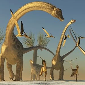 Herd of Diplodocus dinosaurs