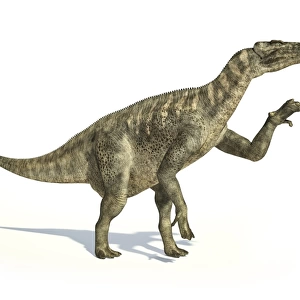 Iguanodon dinosaur in dynamic posture
