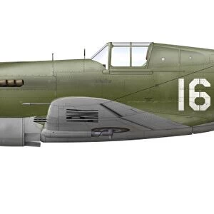 Illustration of a Curtis P-40 Warhawk
