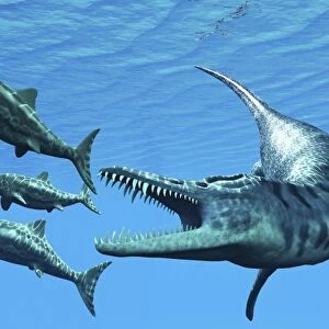 Liopleurodon reptile hunting Ichthyosaurus dinosaurs in Jurassic seas