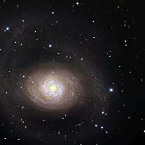 Messier 94, spiral galaxy in the constellation Canes Venatici