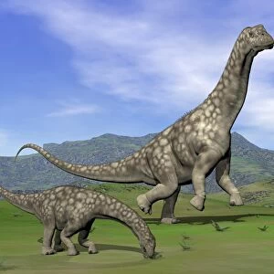 Mother Argentinosaurus dinosaur and baby grazing a green landscape