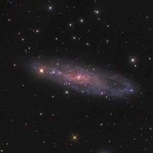 NGC 247 galaxy in the constellation Cetus