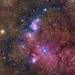 NGC 6559 emission and reflection nebulosity in Sagittarius