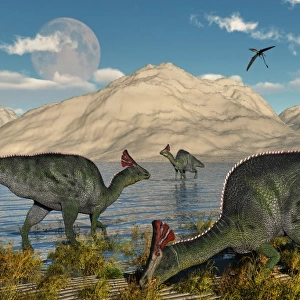Olorotitan duckbilled dinosaurs grazing