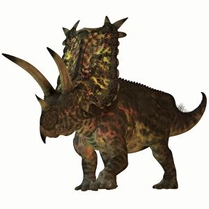 Pentaceratops, a herbivorous dinosaur from the Cretaceous Period