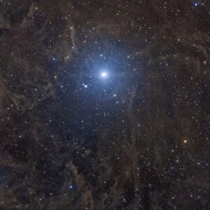 Polaris surrounded by molecular clouds