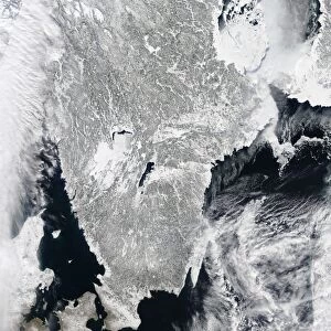 Sea ice lines the coasts of Sweden and Finland in this satellite view
