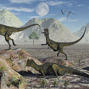 A small pack of Dilophosaurus dinosaurs during Earths Jurassic period