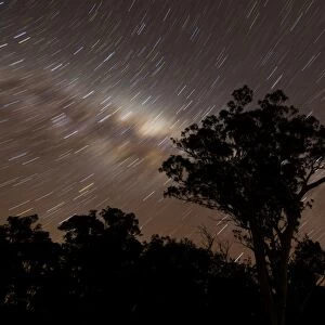 Star trails and the Milky Way, Glenmaggie, Victoria, Australia