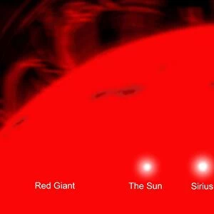 Our sun and the star Sirius compared to a red giant