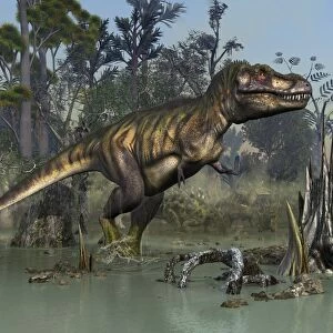 Tyrannosaurus rex hunting in prehistoric wetlands