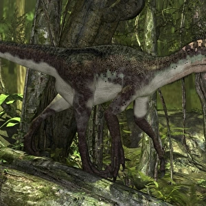Utahraptor in a prehistoric forest