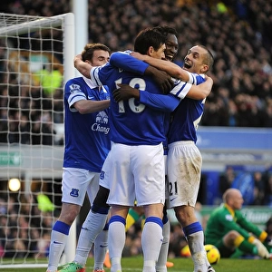 Everton 2 v Norwich City 0 : Goodison Park : 11-01-2014