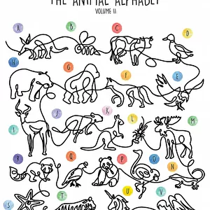 The Animal Alphabet Volume 2