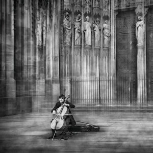 the cellist