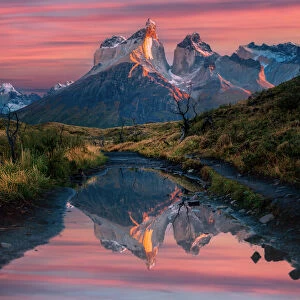 Cuernos Del Paine sunrise