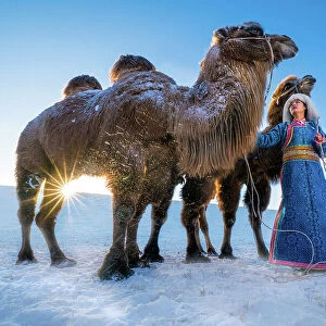 Girl and camels