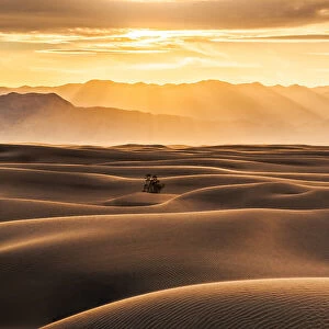 Golden Rays over Sand Dunes