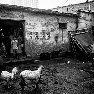 Back of a market in Dakha - Bangladesh