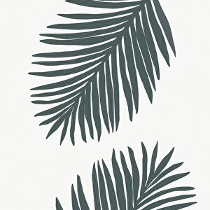 Palm Leaf Gray with tint of green 01