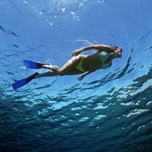 Free diver exploring blue water beside coral reef, Sinai, Egypt, Red Sea Model released
