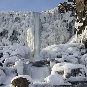 Oxararfoss waterfall in winter, Almannagja Fissure, Thingvellir southern Iceland