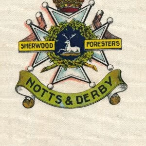 45th & 95th Foot. The Sherwood Foresters (Nottinghamshire & Derbyshire Regt. ), c1910
