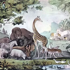 Adam Naming the Creatures, 1847. Artist: Nathaniel Currier