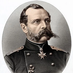 Alexander II (1818-1881), Tsar of Russia from 1855, c1880