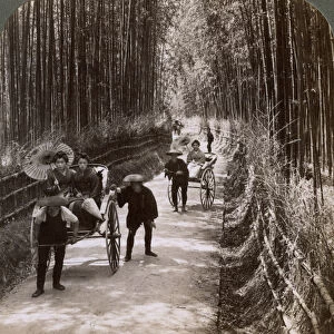 Bamboo avenue, looking south-west, near Kiyomizu, Kyoto, Japan, 1904. Artist: Underwood & Underwood
