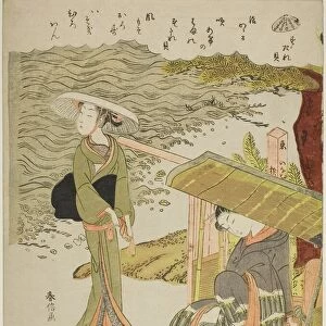 The Bamboo-Blind Shell (Sudaregai), from an untitled series of shells, c. 1769