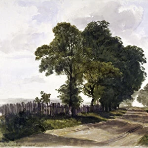 Belsize Lane, Hampstead, London, 1842. Artist: Edmund Marks
