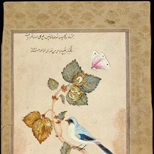 A Bird on a Hazel Branch. Artist: Shafi Abbasi, Muhammad (1628-c. 1674)