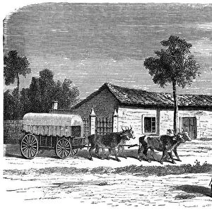 A Boer farm, South Africa, c1890