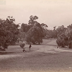 Botanical Garden, 1860s-70s. Creator: Unknown