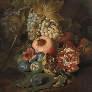 B Collection: Abraham Brueghel