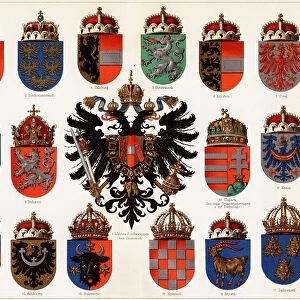 Coats of arms of Counties of Austria-Hungary and small Austrian national coat of arms, c