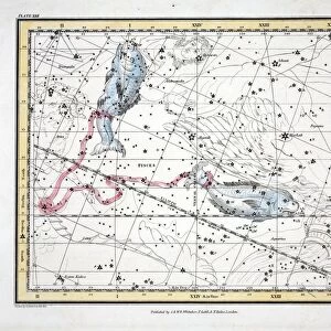 The Constellations (Plate XXII) Pisces, 1822